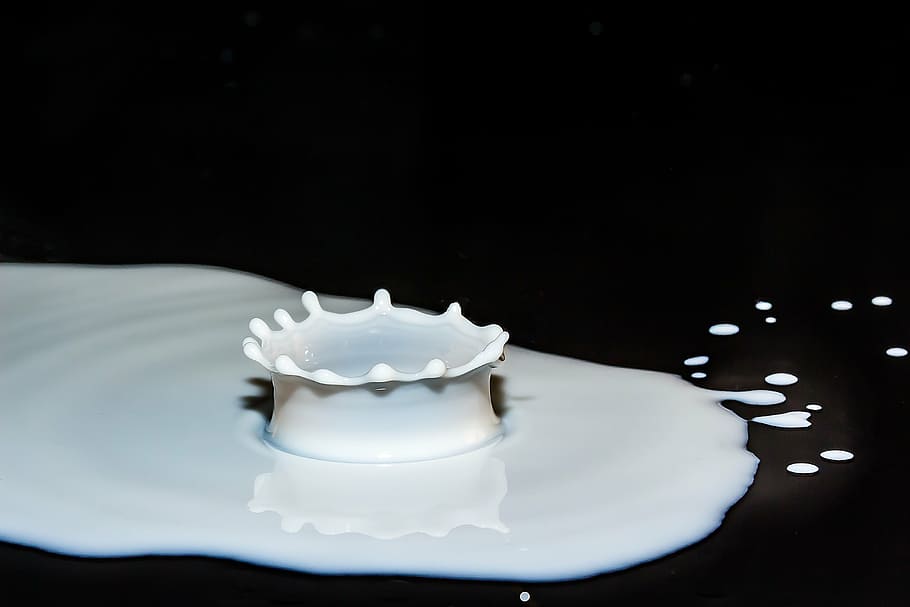white liquid drop, drops of milk, spray, splash, surface tension, crown pattern, drip, milk, drink, delicious