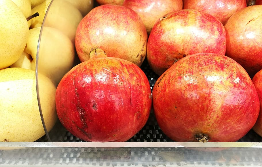 apple, fruit, fresh, healthy eating, food and drink, food, freshness, wellbeing, red, apple - fruit