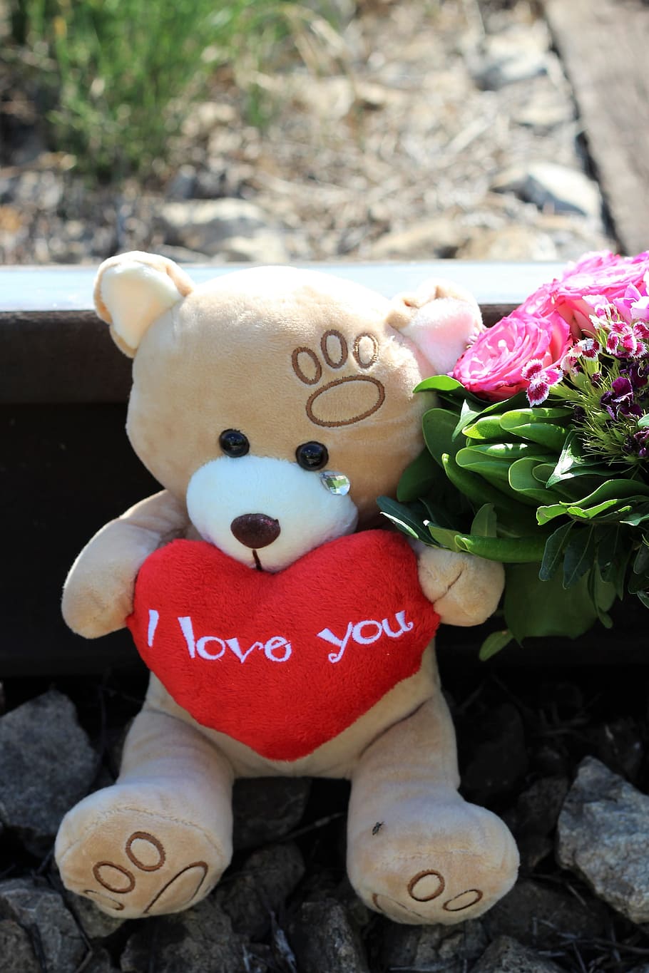 brown, bear, plush, toy, stop child suicide, teddy bear crying, railway, stop teenager sucide, stop student suicide, stop youth suicide