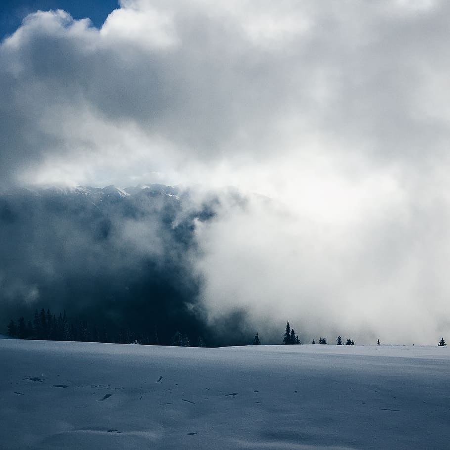 mountain, highland, snow, winter, fog, cold, trees, plant, nature, cloud - sky