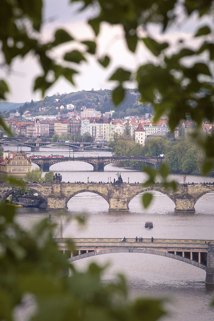 prague, city, moldova, czech republic, praha, historically, architecture, river, charles bridge, bridge