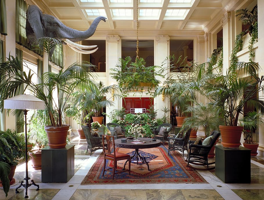 living, room, set, surrounded, plant, george eastman house, new york, interior, luxurious, indoor