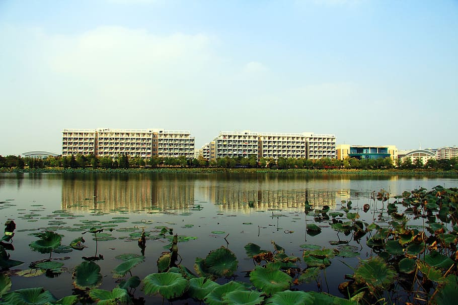 high-rise building, housing block, campus, block of flats, living, building, architecture, city, lake, water