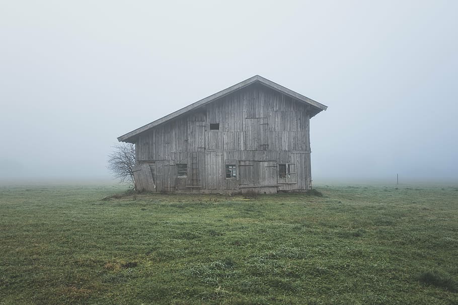 grey wooden barn, barn, foggy, fog, farm, rural, landscape, countryside, grass, outdoor