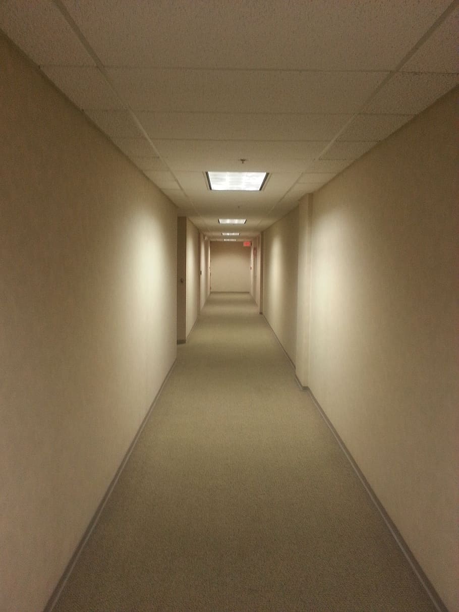 hall way, painted, wall, hallway, empty, office, quiet, building, corridor, passage