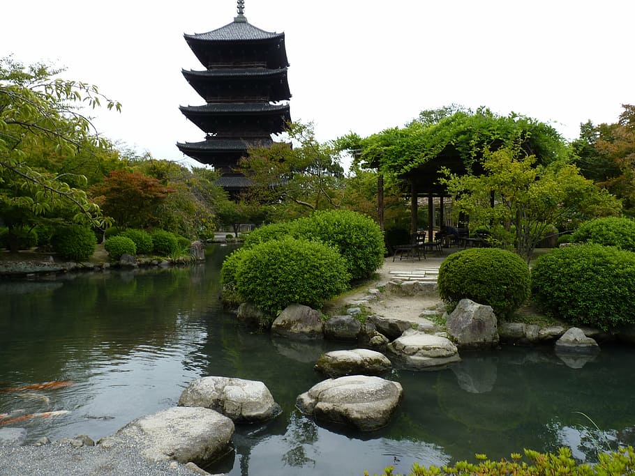 green topiaries, zen, japan, temple, japanese, public garden, lake, pond, water, green area