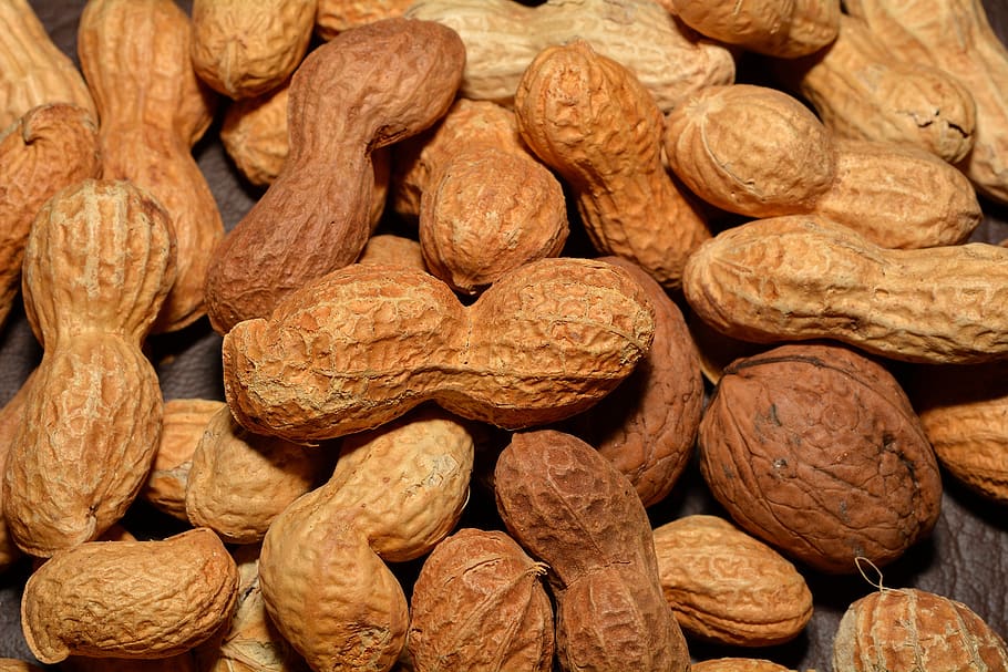 peanuts, nuts, walnuts, healthy, nutrition, close up, nut, food and drink, large group of objects, food