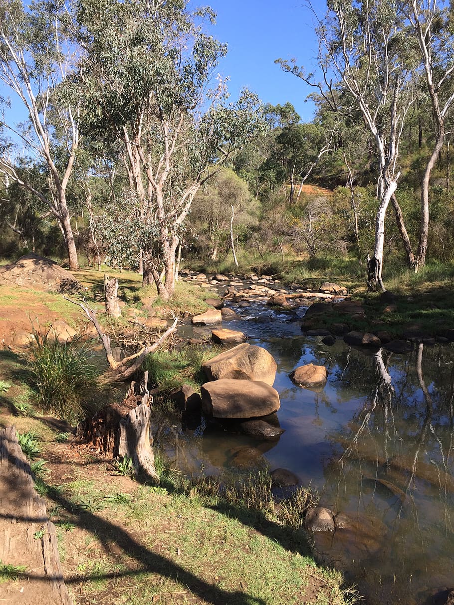 australian, creek, wilderness, nature, scenic, landscape, perth, tranquil, scene, environment