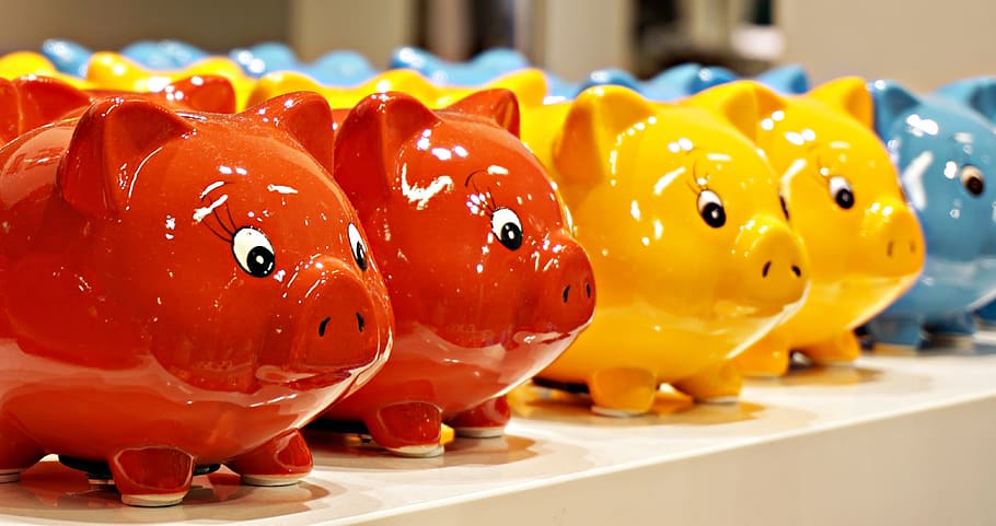 piggy bank, pig, color, detail, finance, savings, representation, investment, animal representation, business