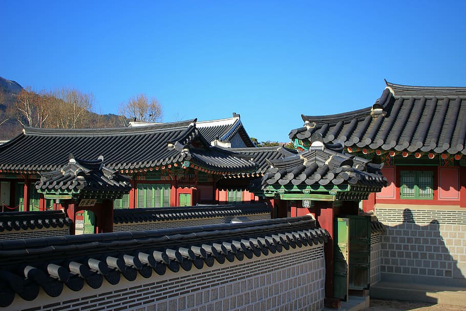 istana gyeongbok, istana kerajaan, seoul, korea, tradisional, arsitektur, asia, china - asia timur, budaya cina, budaya