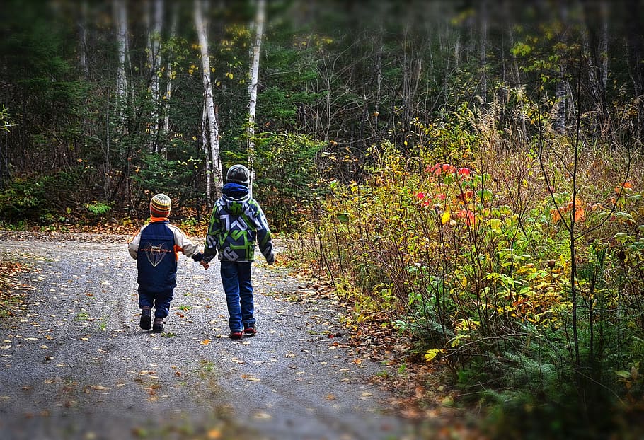 dos, niños caminando, calle, durante el día, fotografía, niños, paseo marítimo, paisaje de otoño, naturaleza, otoño