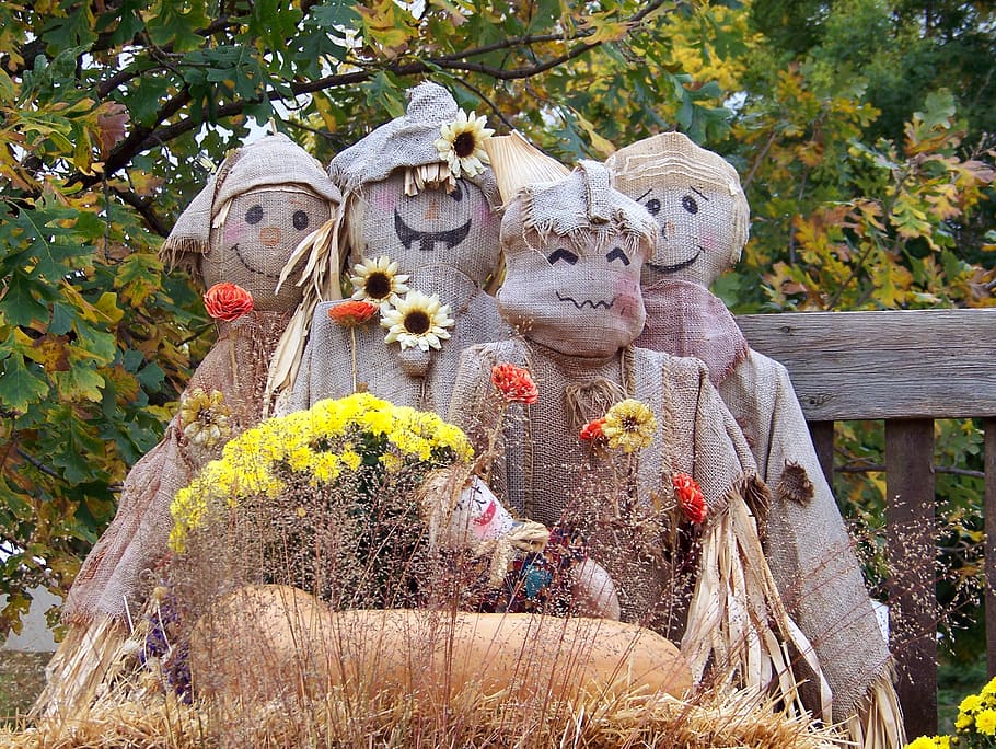 scarecrow, burlap, autumn, fall, halloween, flowers, plant, nature, day, tree