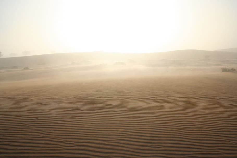 amanecer, desierto, África, Namibia, al aire libre, escénico, morgenstimmung, estado de ánimo, luz, duna