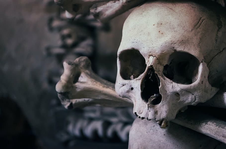 superficial, fotografia de foco, crânio, ossário, república checa, capela de todos os santos, morte, humano Crânio, horror, assustador