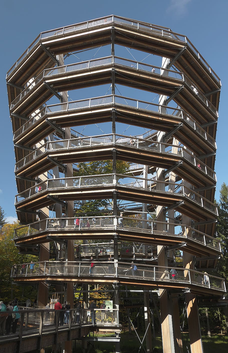 torre de observación, espiral, camino de copa de árbol, steigerwald, bosque, plataforma, copa de árbol, remolino, camino de vista, construcción de madera