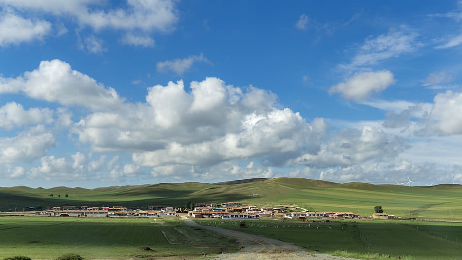 pradaria, céu azul e nuvens brancas, clima, cor, turismo, mongólia, cenário, natural, bonita, construção