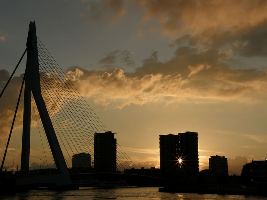 rotterdam, erasmus bridge, port, sky, architecture, cloud - sky, sunset, built structure, bridge, bridge - man made structure
