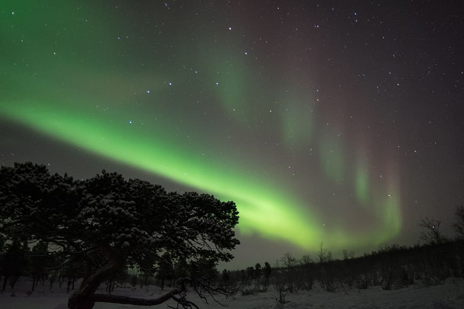 northern lights, sweden, night, sky, winter, aurora, astronomy, space, beauty in nature, star - space