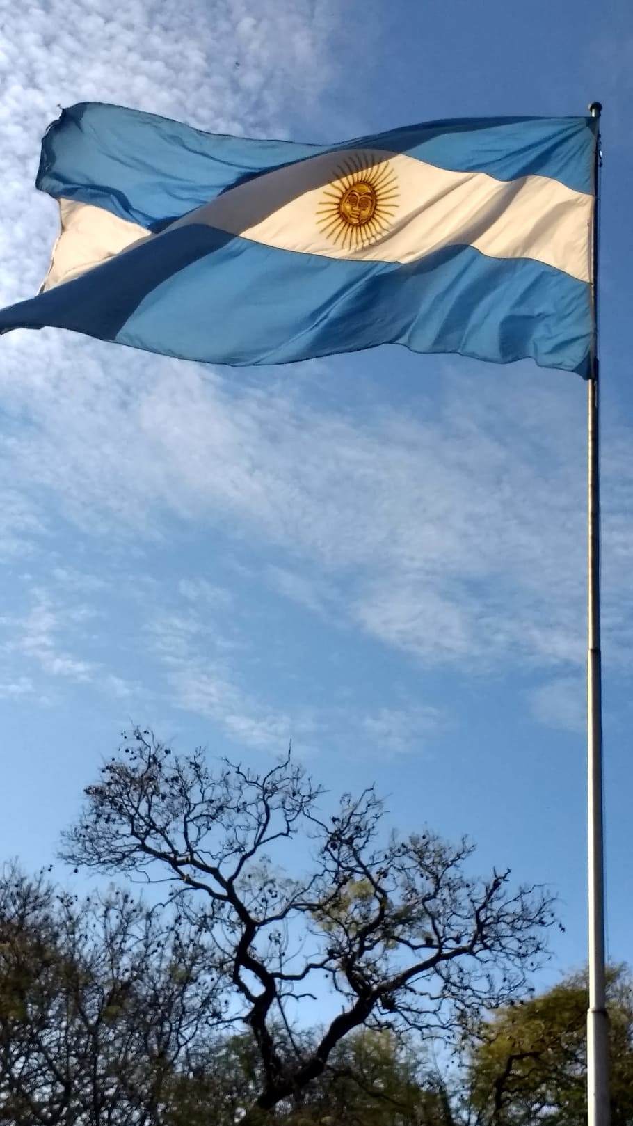 bandera, argentina, otoño, sol, celeste, imagen, símbolo, américa del sur, bandera argentina, ola