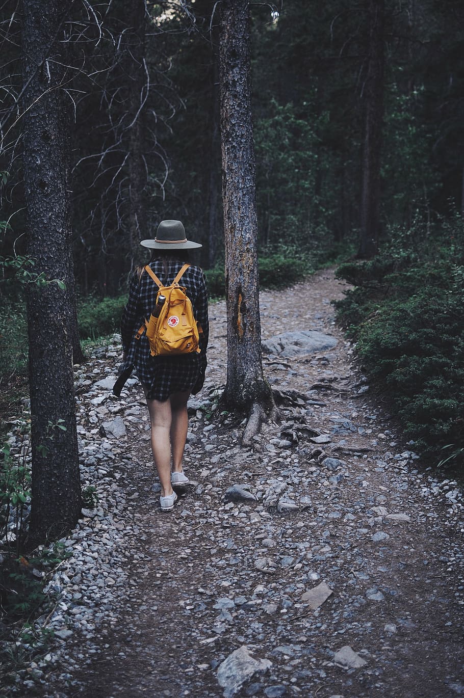 woman, walking, green, plants, trees, wearing, brown, leather, backpack, dark