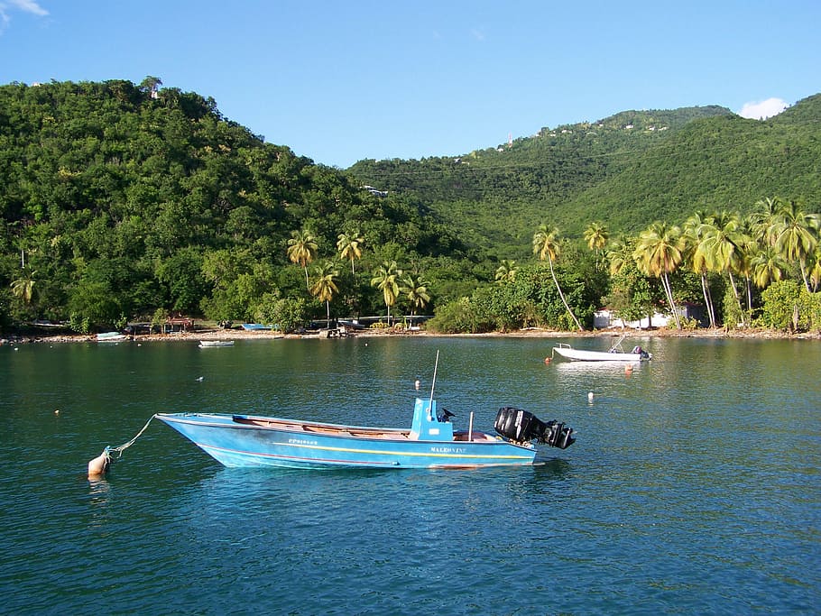 guadeloupe, boiling, cove boat, island, exotic, tropic, french territory, caribbean sea, nautical vessel, tree