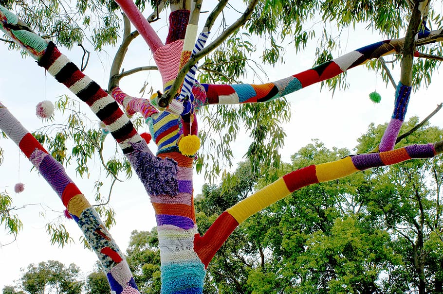 green, tree, daytime, yarn bomb, guerrilla knitting, graffiti, street art, knitter, stitches, yarn bombing