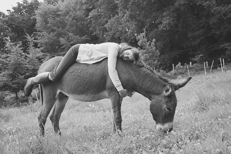 donkey, girl, young woman, photo black white, back ass, hug, complicity, tenderness, affection, sweetness