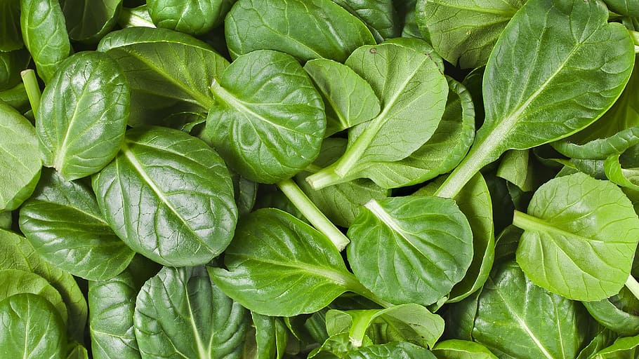 closeup, green, vegetable leafs, spinach, organic, healthy, green color, leaf, plant part, full frame