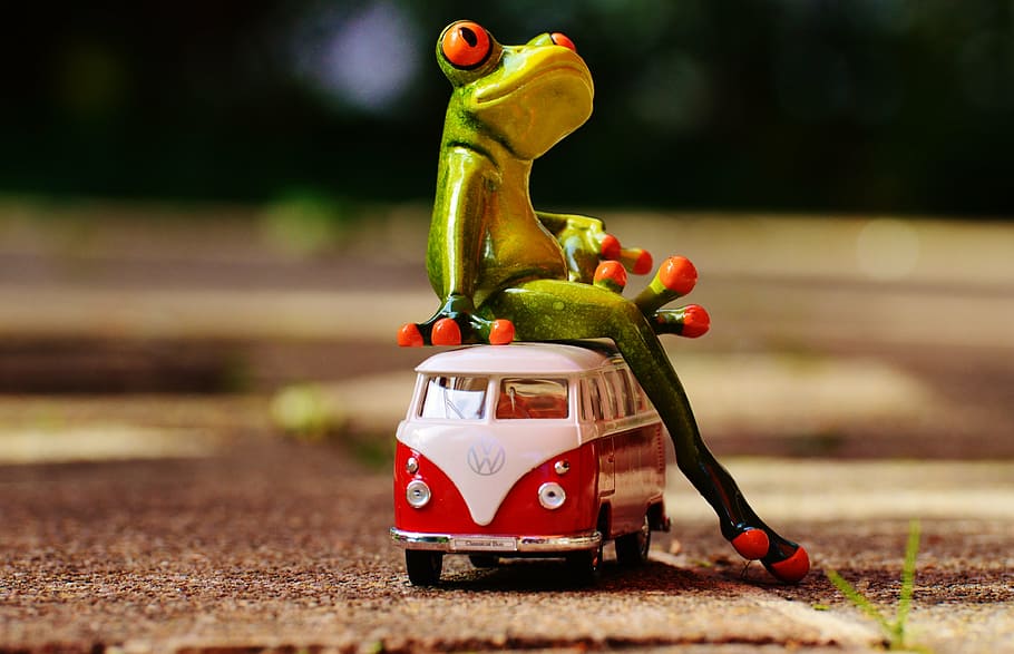 green, frog, sitting, white, red, volkswagen, t1, die-cast, model, ground