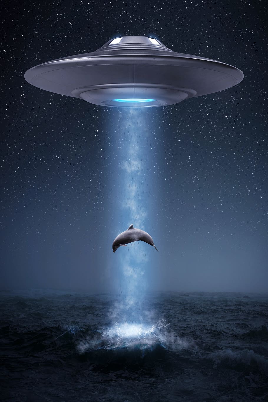 ufo, alien, dolphin, montage, composing, shop, abduction, sea, water, ocean