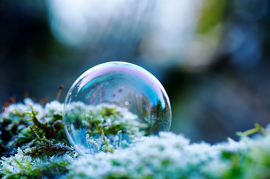 bolha de sabão, geada, natureza, congelado, gelo, frio, gelado, mais difícil, forma esférica, de inverno