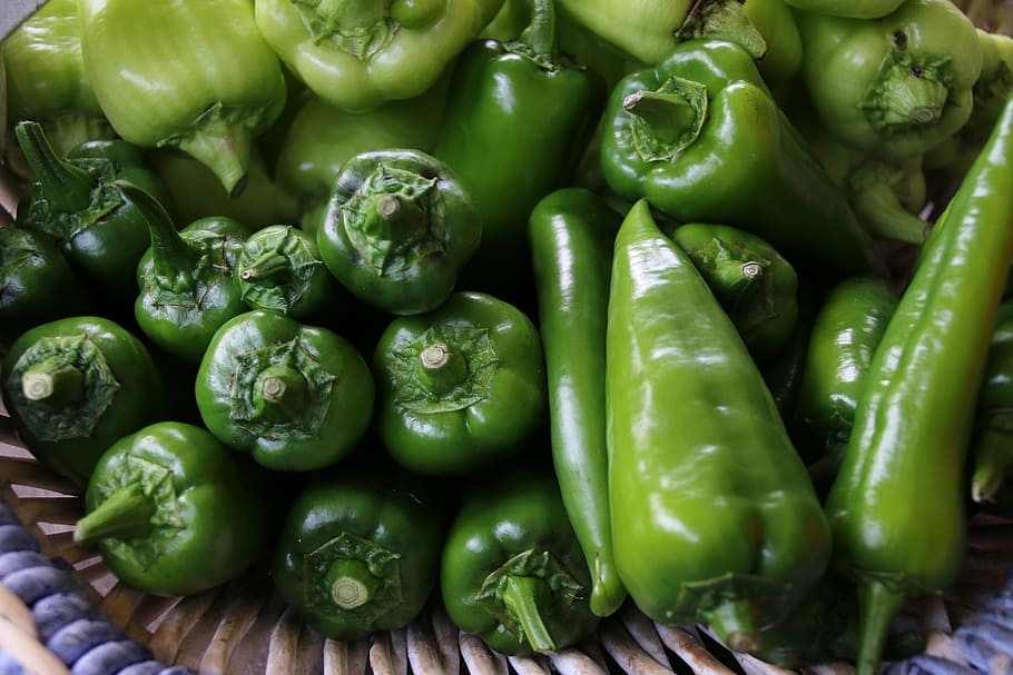 peppers, green peppers, vegetables, food, harvest, vegetable garden, bio, food product, food and drink, vegetable