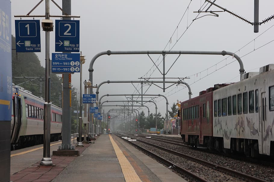 train, railway, transportation, train station, the railroad line, commuting, republic of korea, korea, coach, diesel train