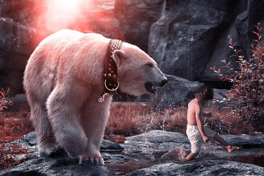 Полярный, медведь, следовать, гулять пешком, Ребенок, Белый медведь, Хищник, играть, Млекопитающее, природа