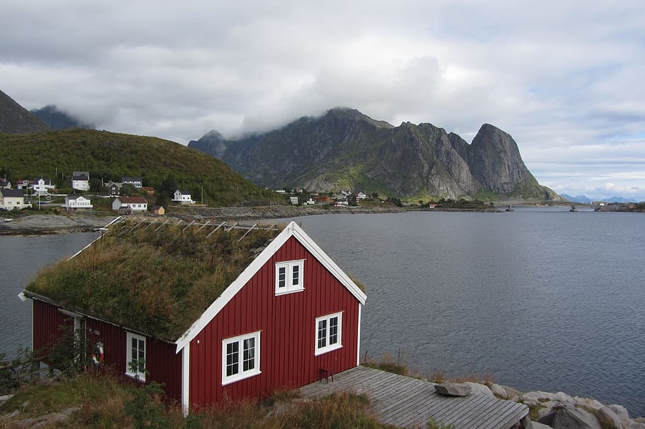 lofoten, pondok, merah, laut, laut norwegia, lumut, awan, pantai, norwegia, skandinavia
