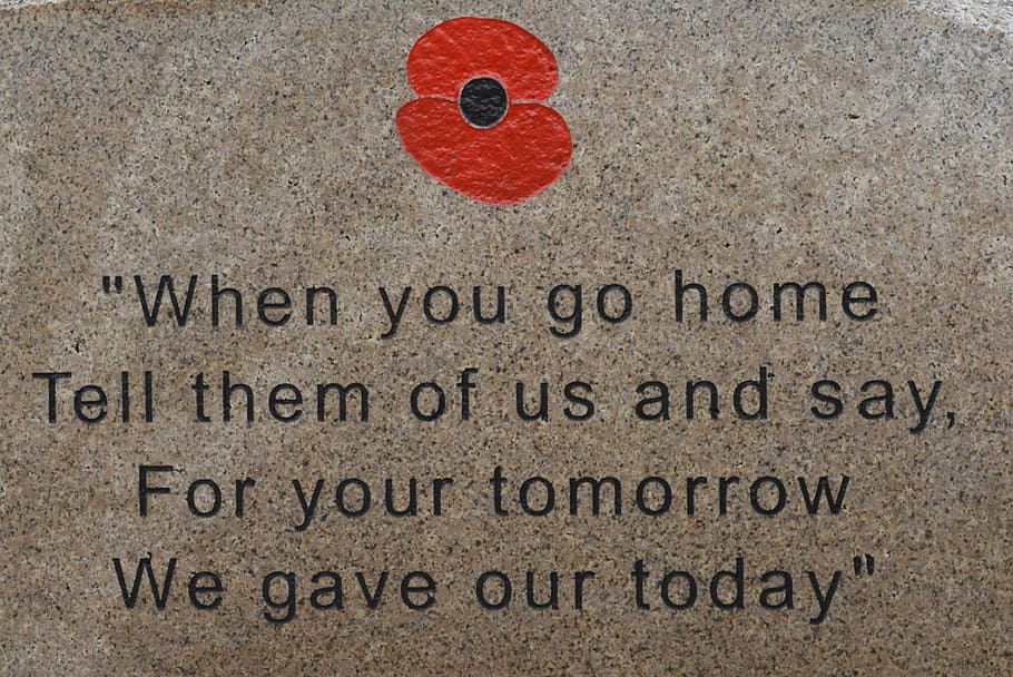 go, home, tell, us, say, tomorrow, gave, today text overlay, war, memory