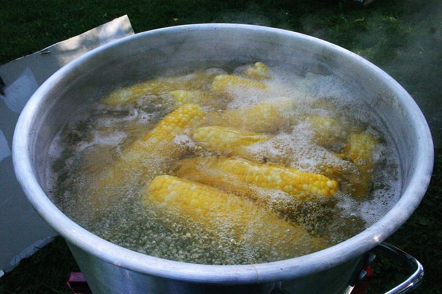 corn, boiling, vegetable, organic, food, boiled, cooking, dinner, sweetcorn, heat - Temperature