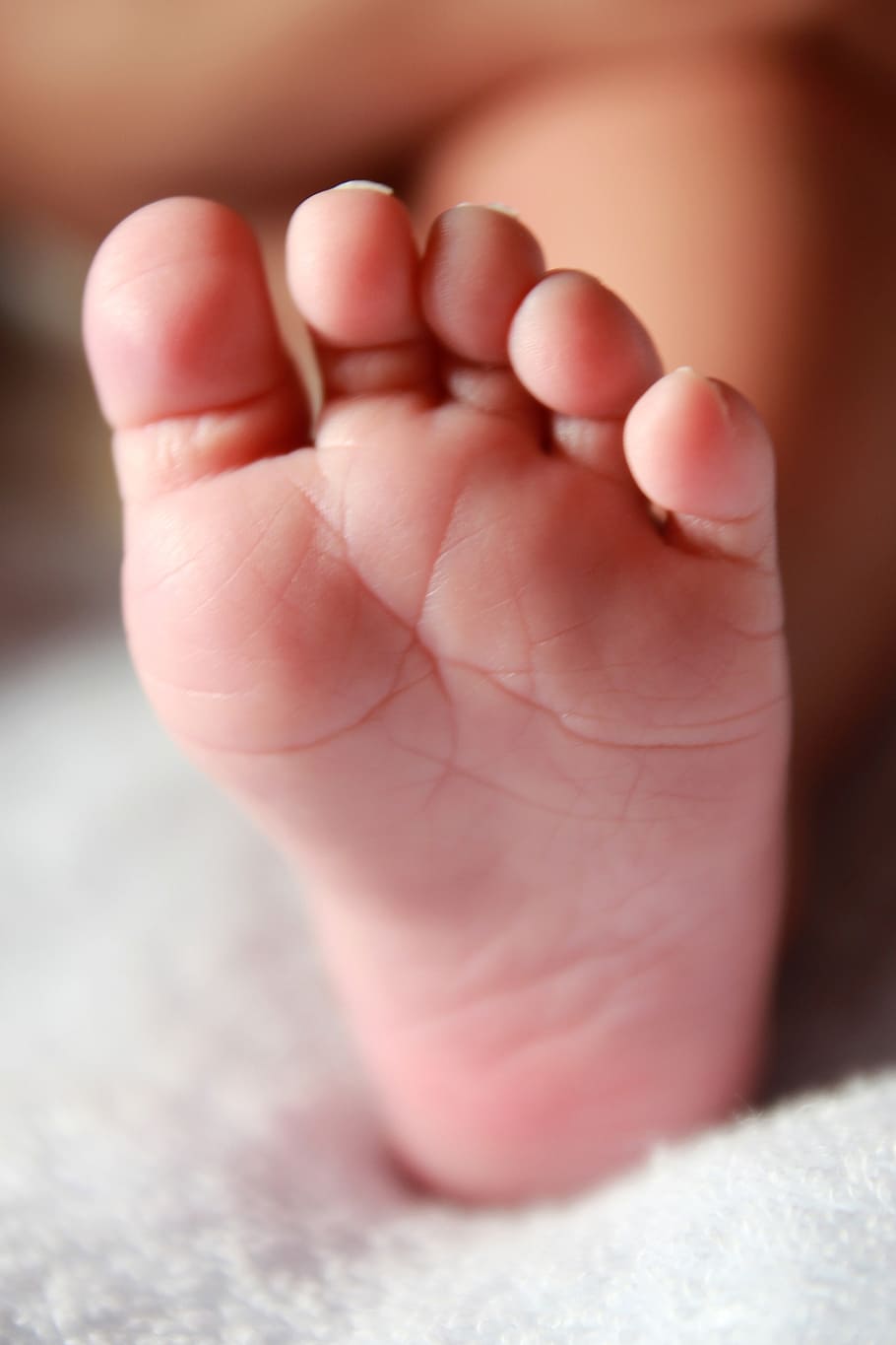 baby foot, newborn, leg, baby, child, small, childhood, body, infant, little