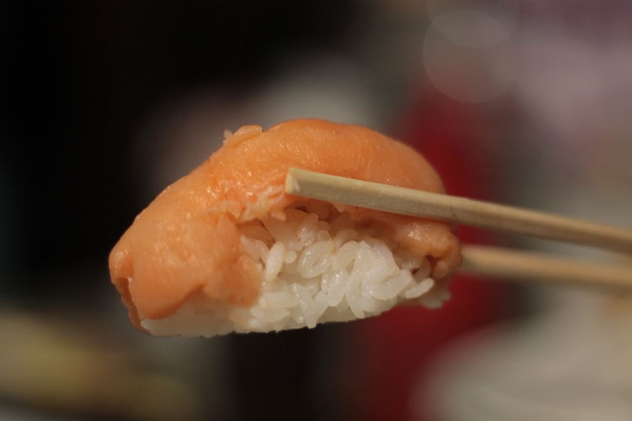 salmón, pescado, arroz, sushi, palillos chinos, comida, comida y bebida, comida asiática, primer plano, comida japonesa