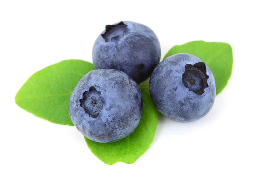 three, blueberries, white, background, cranberries, berry, blue, blueberry, food, fresh