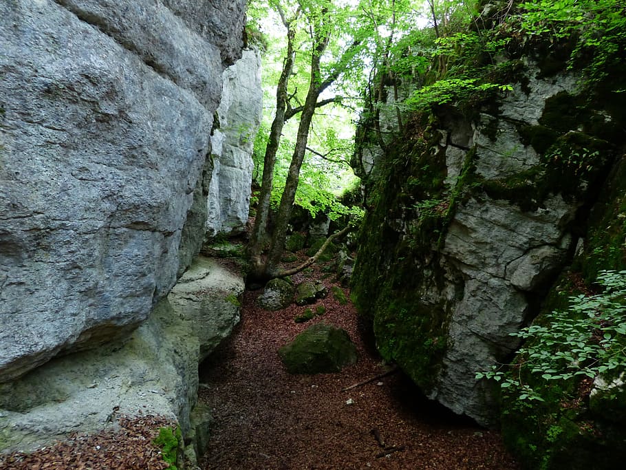 Cleft Rock, Sheep Mountain, Gorge, rock, swabian alb, zollernalb, alb eaves, hike, alb hike, excursion day