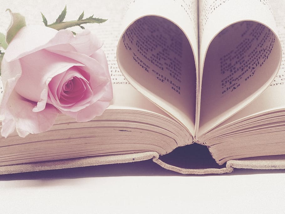 abierto, libro, página de corazón, literatura, encuadernaciones de libros, página, papel, amor, romance, san valentín