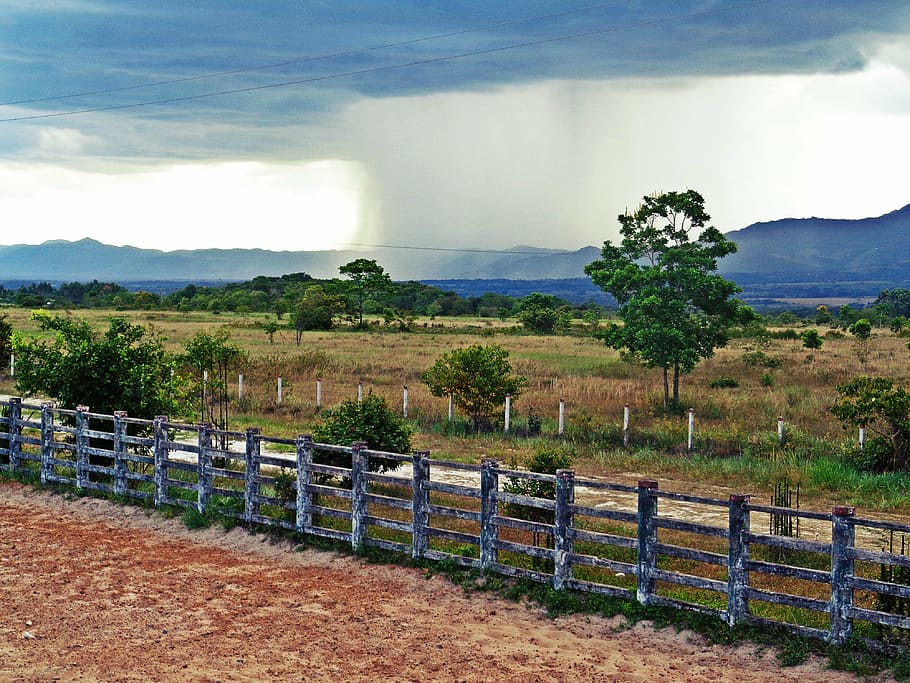 rain, landscape, tree, casanare, colombia, sky, cloud - sky, plant, barrier, boundary