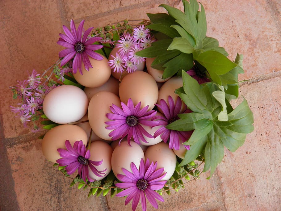 Easter Egg Hunt, Garland, egg, easter, holiday, celebration, spring, decorative, springtime, traditional