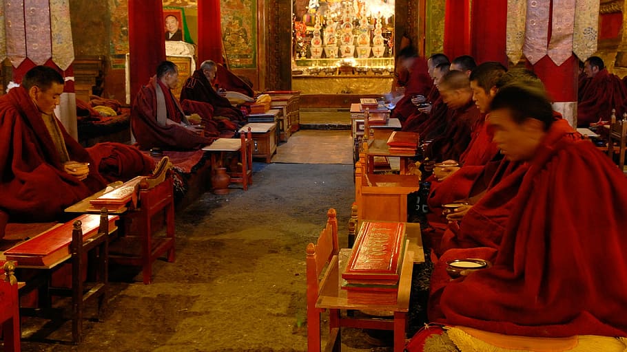 チベット, 修道院, 僧侶, ギャンツェ, 祈り, 仏教, 屋内, 宗教, 旅行先, 赤