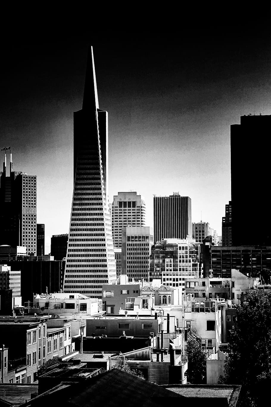 トランスアメリカピラミッド, 建築, 建物, 有名な, サンフランシスコ, カリフォルニア, 都市, アメリカ, ランドマーク, 高層ビル