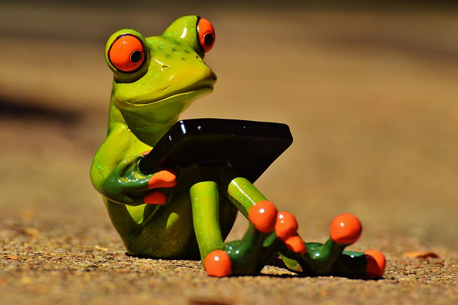 green, frog, holding, case, computer, funny, fun, frog eyes, sweet, cute