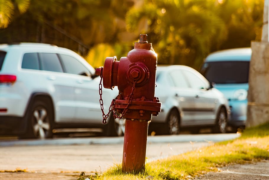 lawn, road, city, park, street, automobile, fire hydrant, urban, mode of transportation, focus on foreground