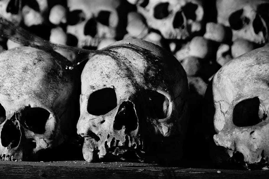 três, crânio, preto, superfície, crânio e ossos cruzados, igreja óssea, igreja, ossuário, dia das bruxas, humano Crânio