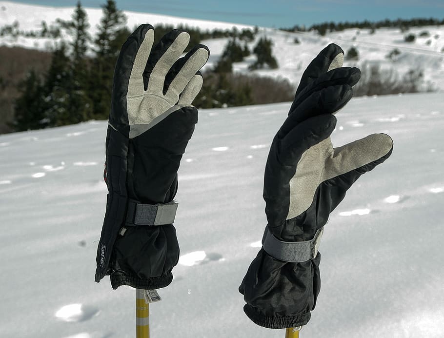 Gloves, Ski, Snow, Protection, snow, protection, winter, cold temperature, warm clothing, outdoors, frozen